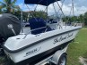 Boston Whaler 170 Dauntless